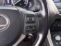 Lexus NX 300h Luxury Line AWD Aut LED SKY RADAR LEDER Grau - thumbnail 19