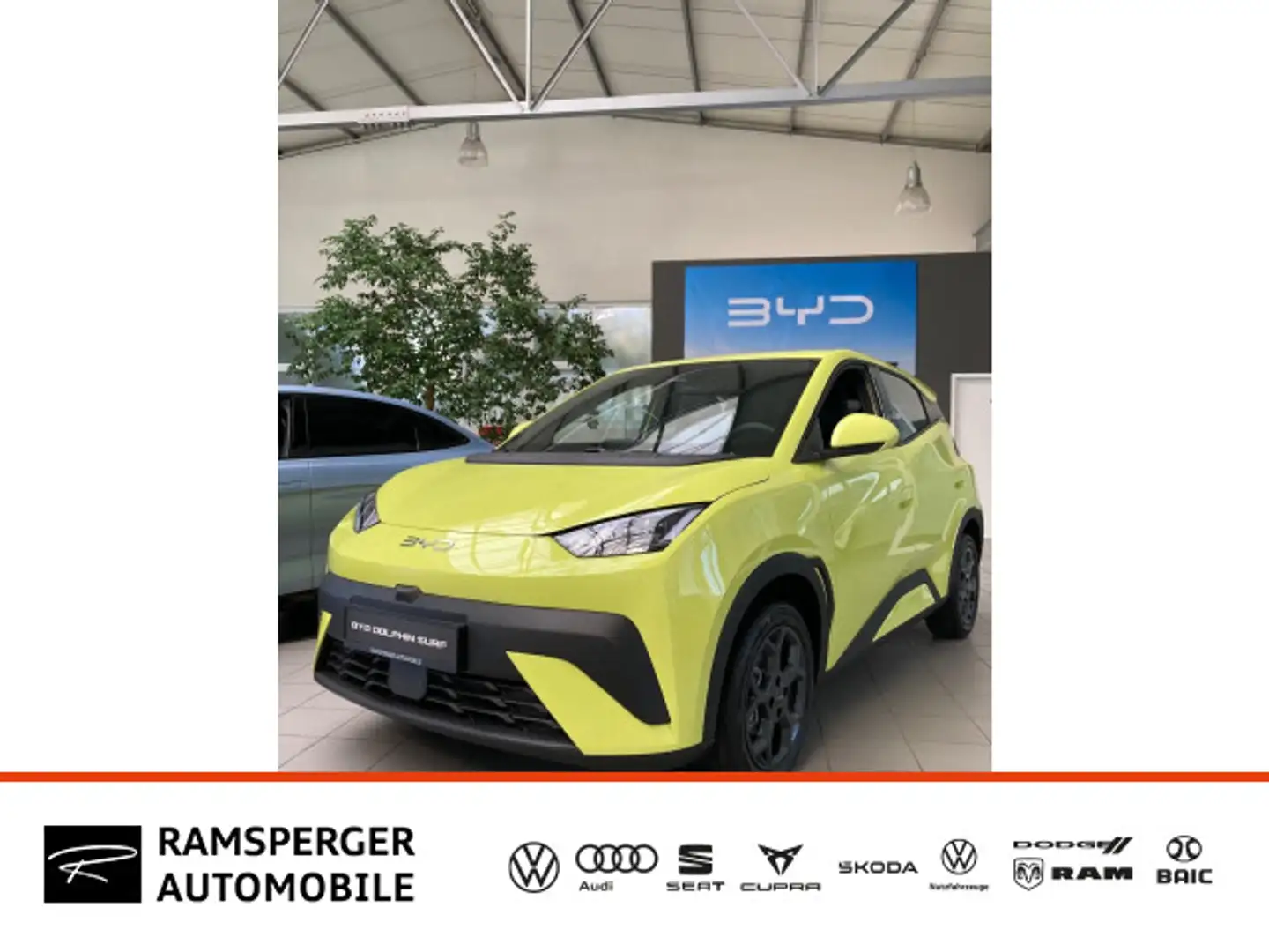 BYD Dolphin Dolphin Surf Active !!Black Friday Special!! Grün - 1