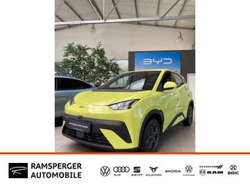 Dolphin Surf Active !!Black Friday Special!!