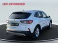 Ford Kuga Titanium ALLRAD Weiß - thumbnail 5
