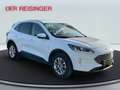 Ford Kuga Titanium ALLRAD Weiß - thumbnail 7
