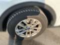 Ford Kuga Titanium ALLRAD Weiß - thumbnail 8