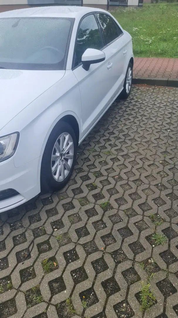Audi A3 1.6 TDI ultra Attraction - 2