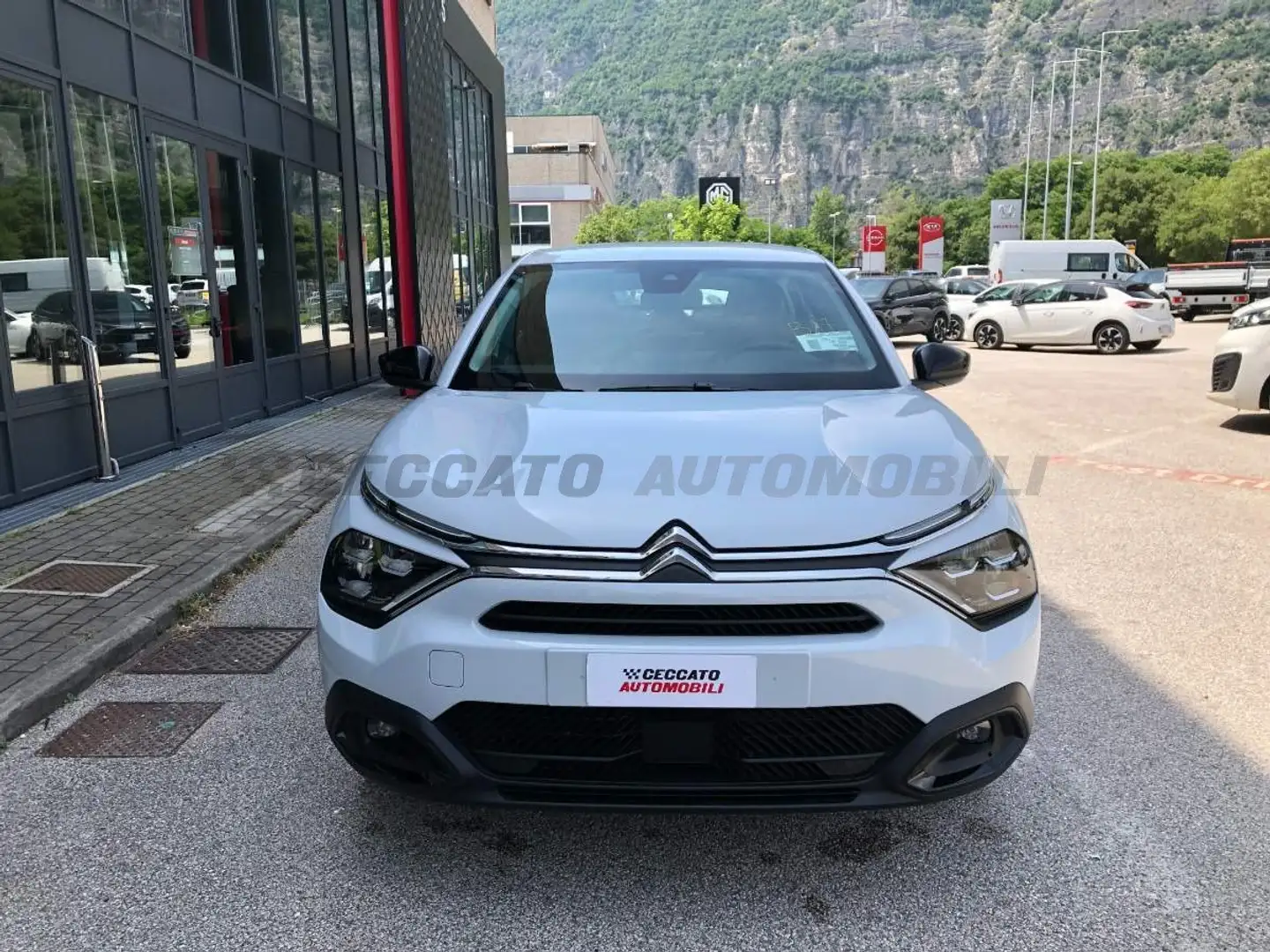 Citroen E-C4 Electric E-C4 100kW Plus Gris - 2