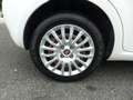 Fiat Punto 1.2 8V 69CH EASY 5P Blanc - thumbnail 8