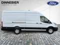 Ford Transit 350 L4 H3 Kasten LKW Trend 96 KW Blanco - thumbnail 6