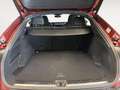 Audi Q5 Sportback 2.0TDI quattro Black line S tronic 150kW Rojo - thumbnail 10