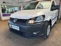 Volkswagen Caddy Kasten/Kombi Kasten EcoProfi Blanco - thumbnail 8