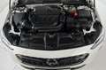 Opel Insignia Insignia B Sports Tourer Business 2.0-128KW*Autom. Blanc - thumbnail 4