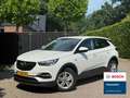 Opel Grandland X 1.2 Turbo Edition Trekhaak NAVI cruise Blanc - thumbnail 1