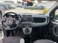 Fiat Panda FIAT PANDA 2022 HYBRID Grigio - thumbnail 5