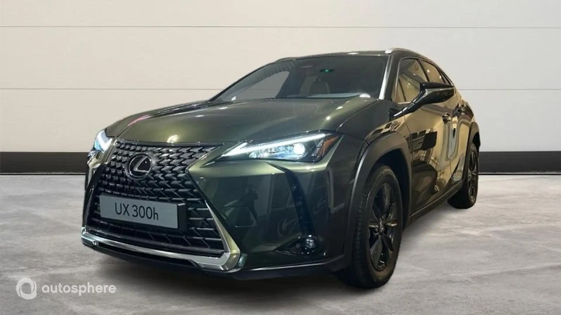 Lexus UX 300h 300h Luxe 2WD - 1