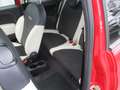Fiat 500C ECO 1.2 69 Lounge KlimaA+PDC Rojo - thumbnail 9