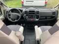 VanTourer 600 D Peugeot 165 PS Abverkauf Grau - thumbnail 14