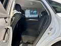 Audi Q5 Sportback 40 2.0 tdi mhev 12V S line quattro s-tro Bianco - thumbnail 14