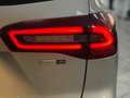 Ford Focus Focus V 2022 SW SW 1.0t ecoboost h ST-Line 125cv Grijs - thumbnail 9