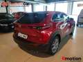 Mazda CX-30 2.0 E-SKY-G 90KW EXCL-LINE 2WD AUTO 122 5P - thumbnail 10