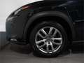 Lexus NX 300 300h Executive Kick Power+ Navigation 4WD - thumbnail 14