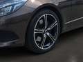 Mercedes-Benz E 250 d Coupé Pano ACC Sitzklima Burm. LED Memo Maro - thumbnail 6