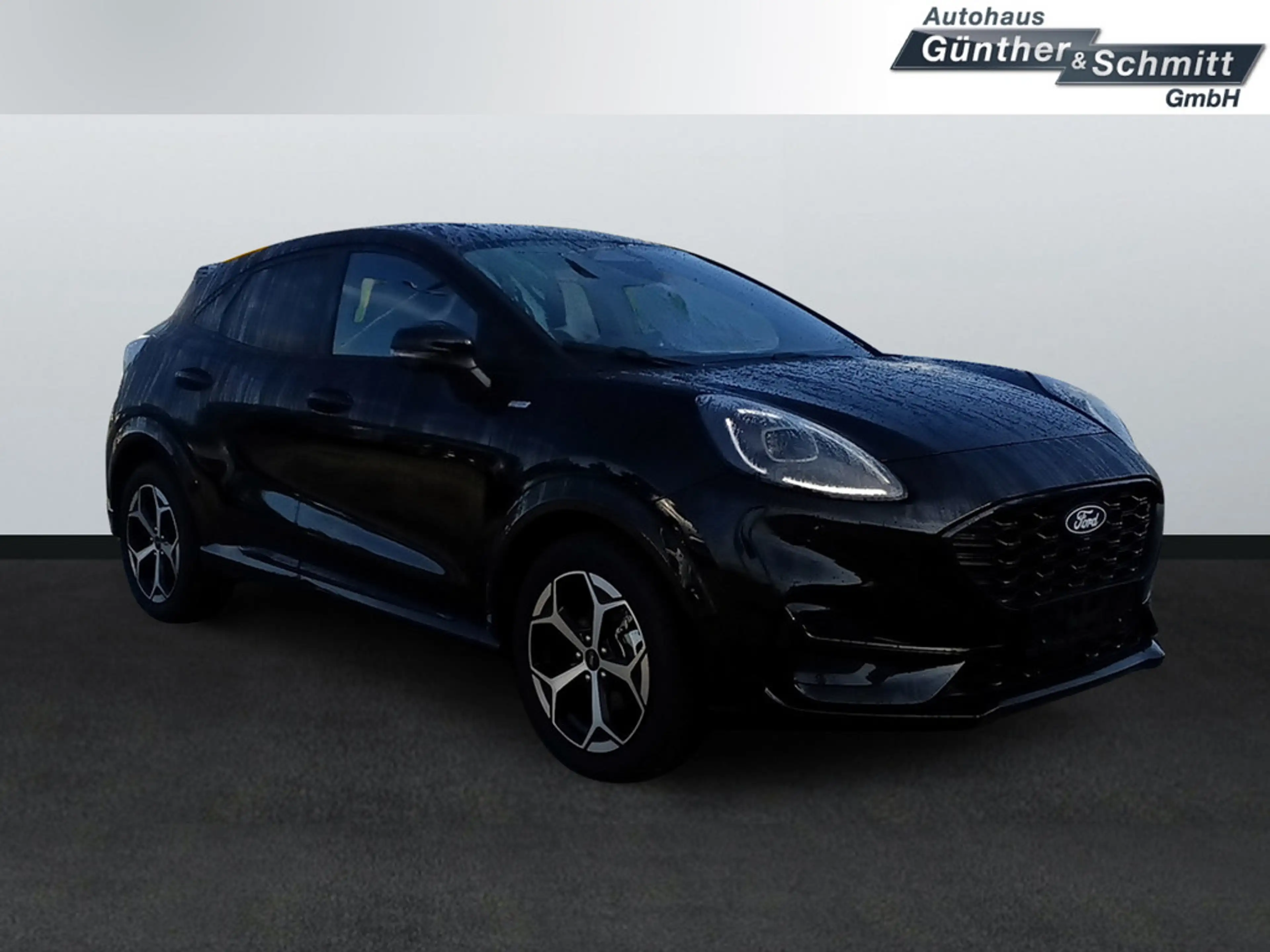 Ford Puma 1.0 EcoBoost ST-Line X S/S EURO NAVI LED — photo 14