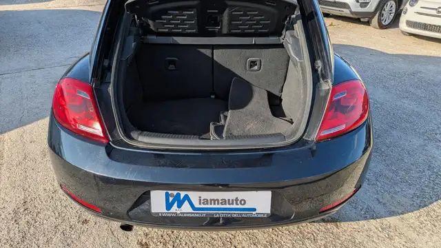 Volkswagen Beetle view 12
