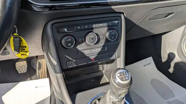 Volkswagen Beetle view 8