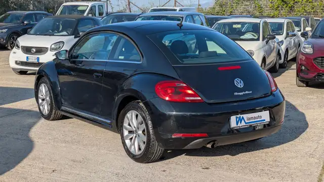 Volkswagen Beetle view 4