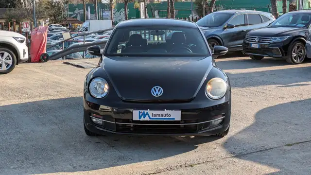 Volkswagen Beetle view 11