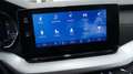 Skoda Octavia Business TDI DSG Grau - thumbnail 10