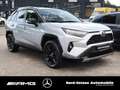 Toyota RAV 4 RAV4 2.5 VVT-i HYBRID 4x4 STYLE SELECTION PDC - thumbnail 3