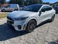 Ford Mustang Mach-E GT AWD Kamera, Panoramadach - thumbnail 6