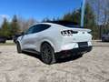 Ford Mustang Mach-E GT AWD Kamera, Panoramadach - thumbnail 19
