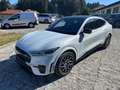 Ford Mustang Mach-E GT AWD Kamera, Panoramadach - thumbnail 7
