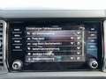 Skoda Kodiaq 2.0 TDI Style SC AHK+LED+LEDER+NAV+RADAR Grau - thumbnail 21