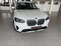 BMW X3 xDrive 20dA xLine Blanco - thumbnail 11