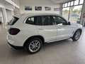 BMW X3 xDrive 20dA xLine Blanco - thumbnail 22
