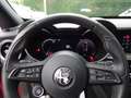 Alfa Romeo Stelvio Stelvio 2.2 Turbodiesel 210 CV AT8 Q4 Ti Rosso - thumbnail 15