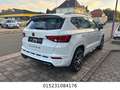 CUPRA Ateca 4Drive Automatik+Alcantara+Pano+LED+KAM+ Weiß - thumbnail 5