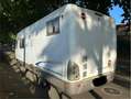 Fiat Ducato Minibus 10C1A 2.8 JTD - thumbnail 6
