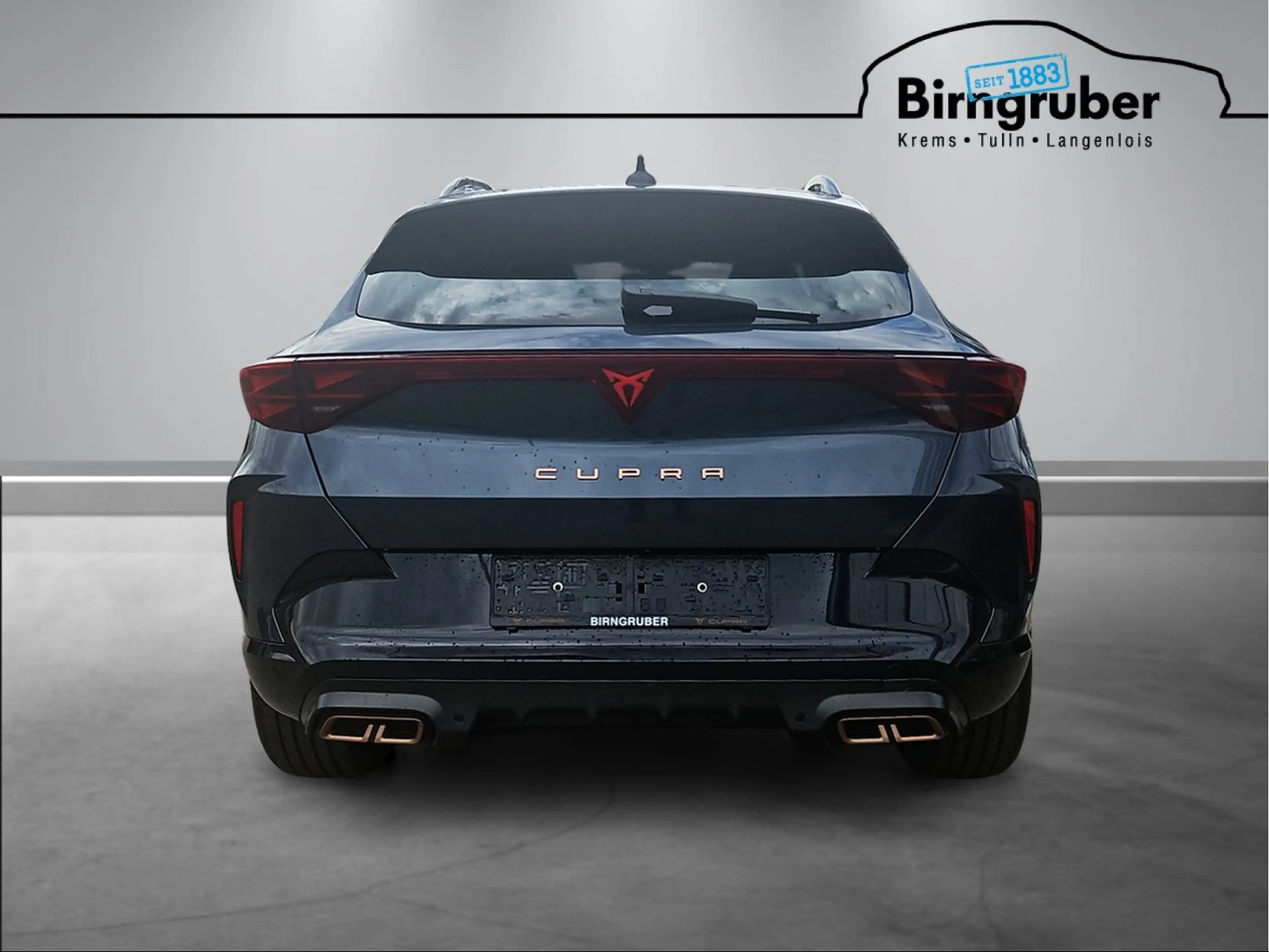 CUPRA Formentor e-HYBRID 204 PS DSG — photo 7