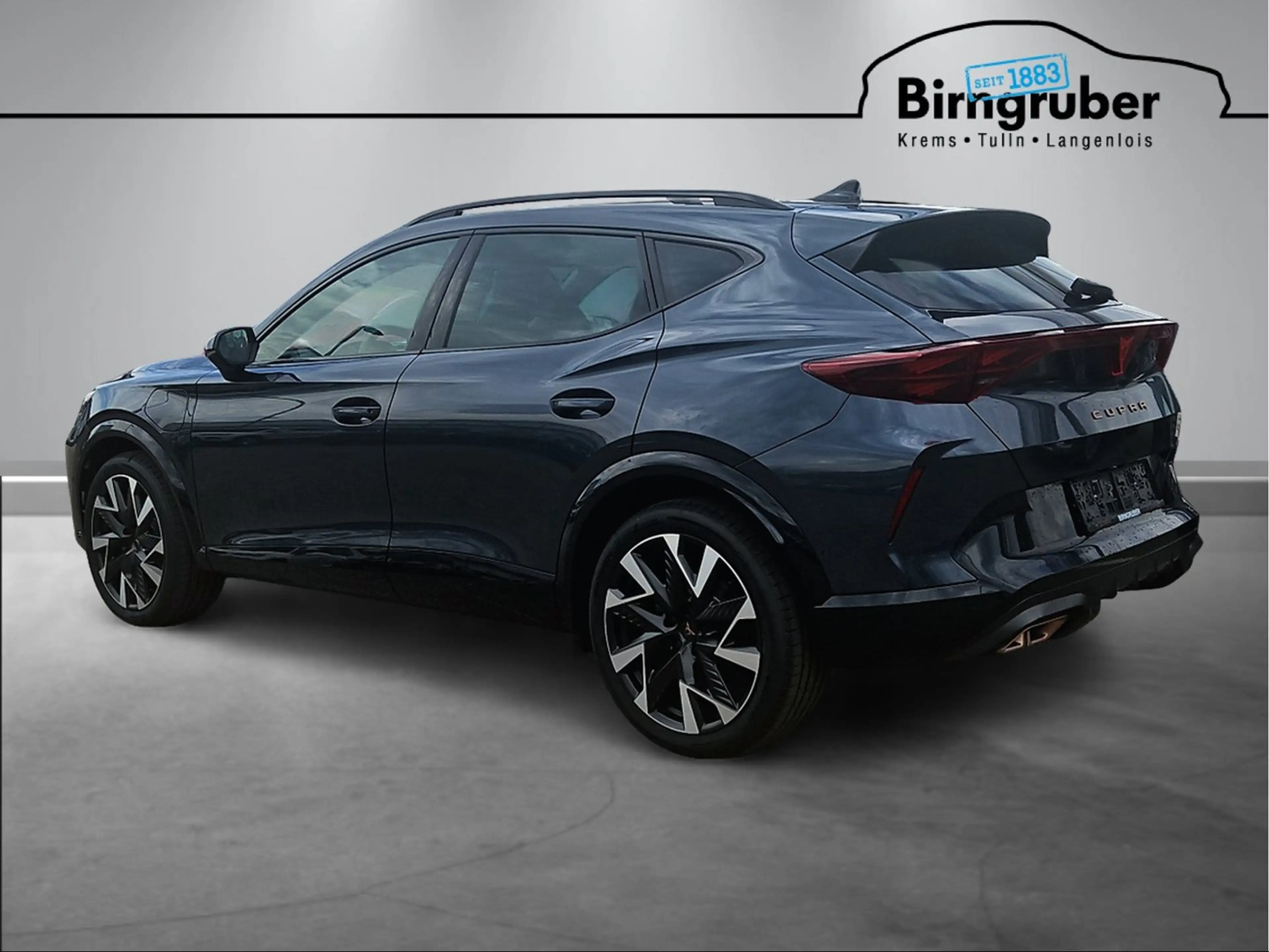 CUPRA Formentor e-HYBRID 204 PS DSG — photo 6