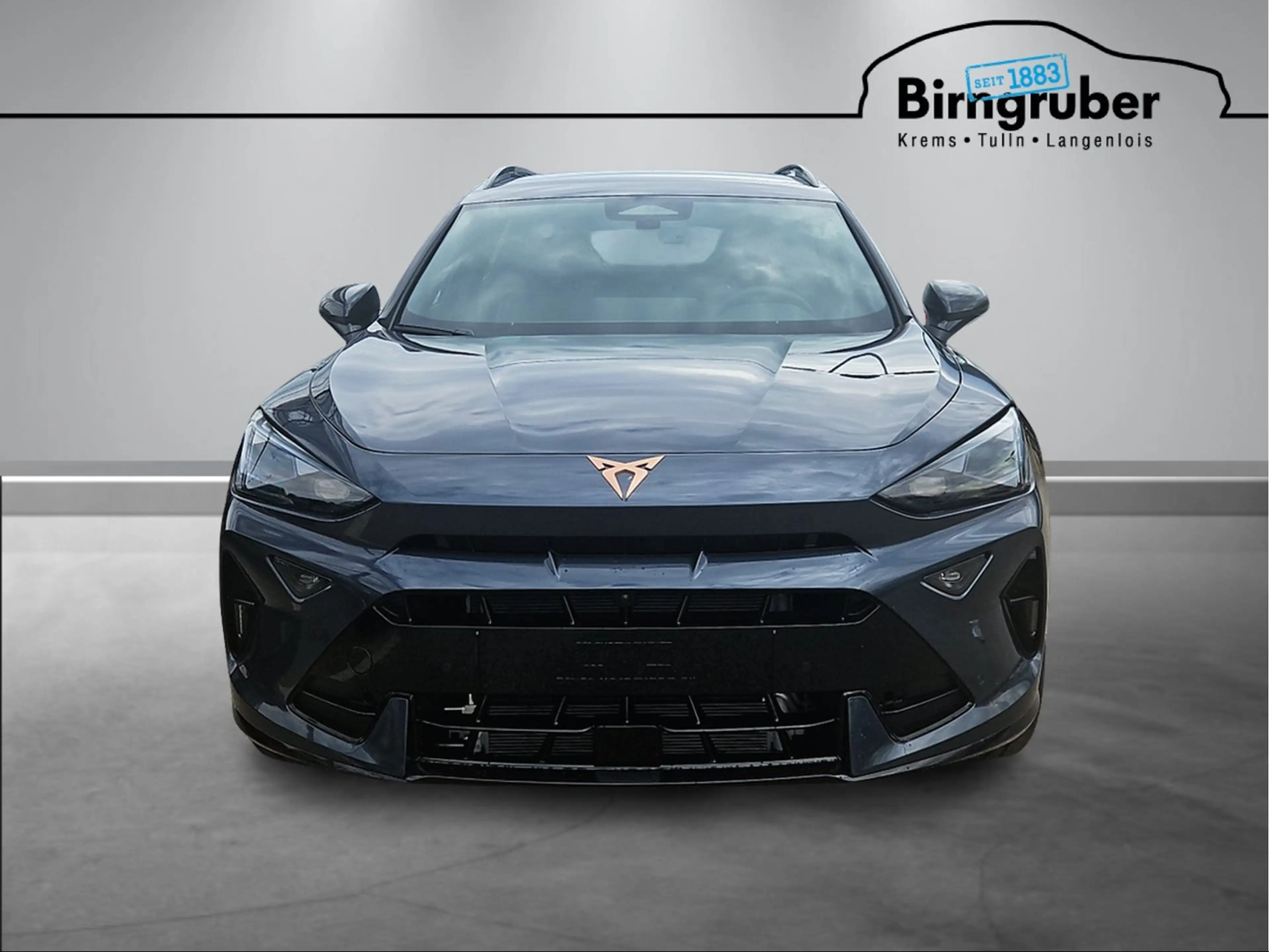 CUPRA Formentor e-HYBRID 204 PS DSG — photo 4