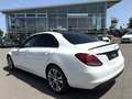 Mercedes-Benz C 220 d BLUE TEC/HEAD UP/ACC/KAMERA/NAVI/LEDER Blanc - thumbnail 4