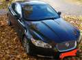 Jaguar XF XF 3,0 Diesel Luxury Luxury Grau - thumbnail 4