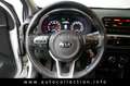 Kia Picanto Dream Team*1.Hand*Klima*FSE*Alu*Sitzh* Blanc - thumbnail 12