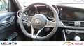 Alfa Romeo Giulia 2.2 Turbodiesel 160 CV Business Bianco - thumbnail 9