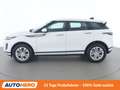 Land Rover Range Rover Evoque P300e Hybrid S Weiß - thumbnail 3