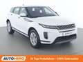 Land Rover Range Rover Evoque P300e Hybrid S Weiß - thumbnail 8