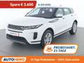 Land Rover Range Rover Evoque P300e Hybrid S Weiß - thumbnail 1