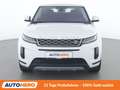 Land Rover Range Rover Evoque P300e Hybrid S Weiß - thumbnail 9